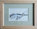 LE CHAT - 